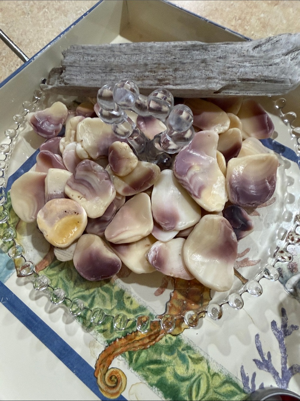 Wampum Shells